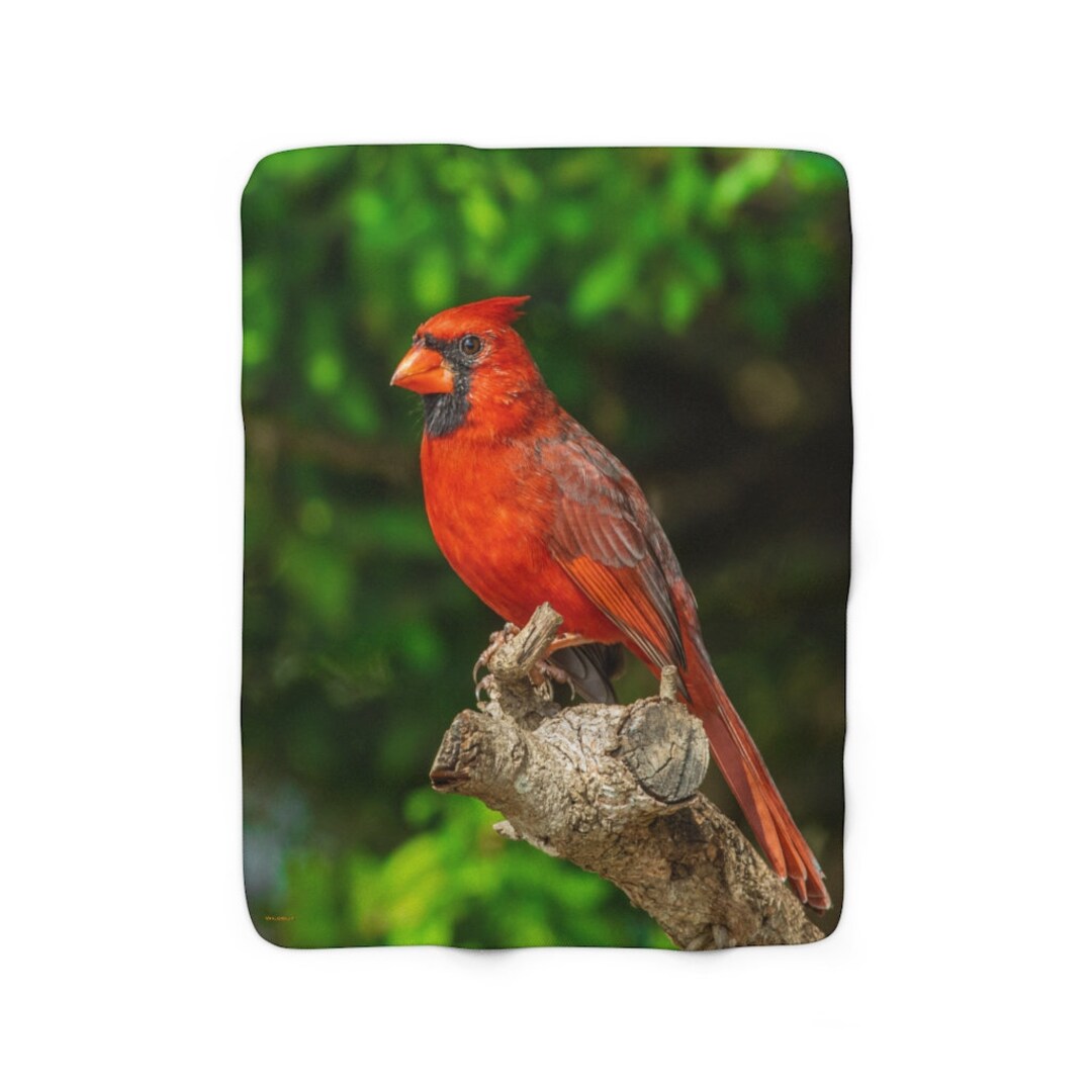 Red Cardinal Bird Blanket Sherpa Fleece Blanket Free Etsy
