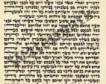 Mezuzah Scroll - Instant Download Printable (Non-Kosher) Judaica, Downloadable, Print, Inexpensive, Hebrew Scroll, Mezuza Scroll Download
