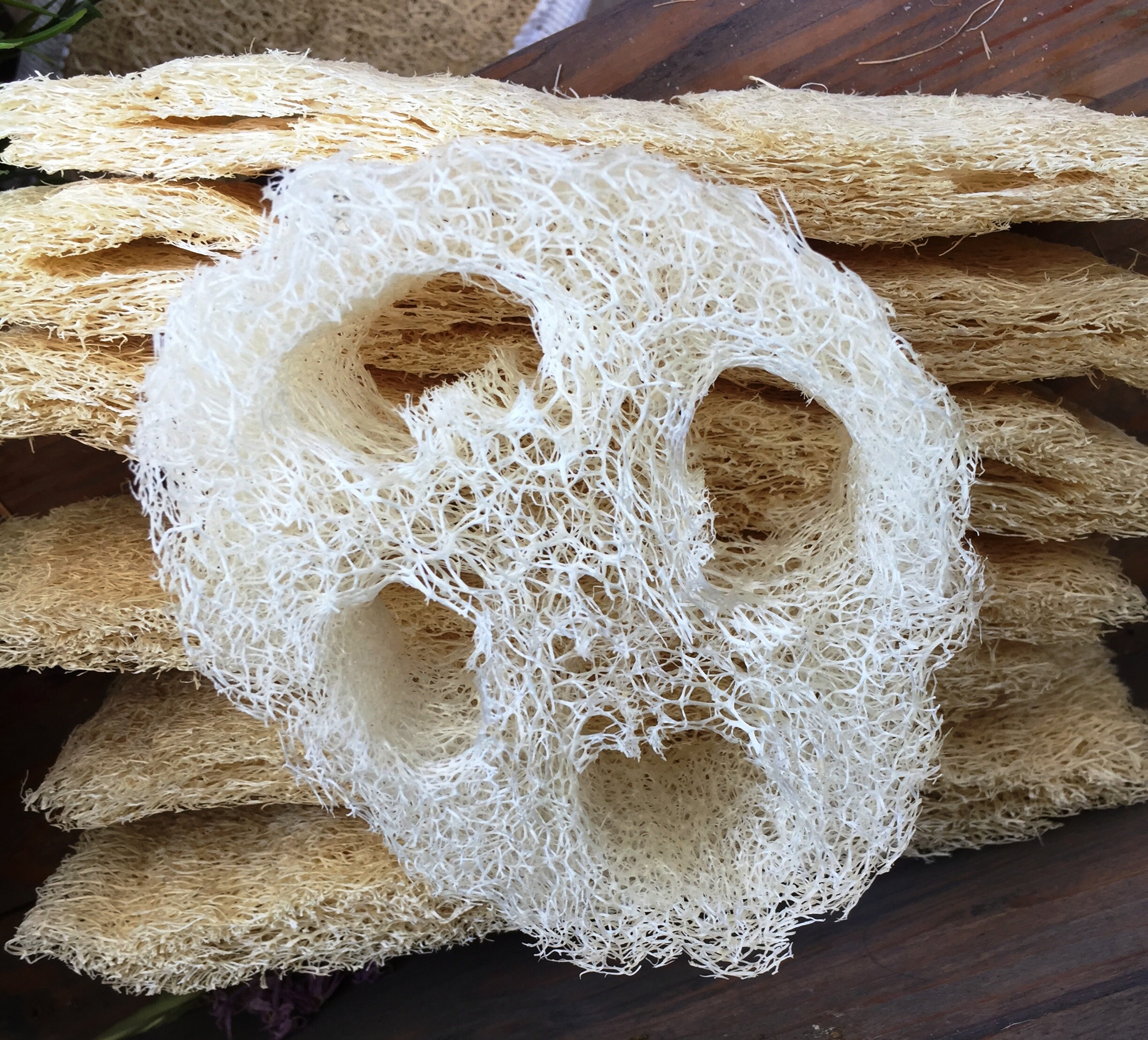 2 Pcs Extra Large Loofah Slices Biodegradable Zero Waste Etsy