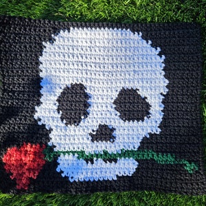 Skull and Rose Tapestry Crochet Pattern: Punk Rock Home Decor (PDF Pattern Only)