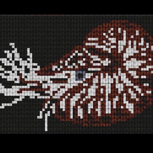 Nautilus Tapestry Crochet Pattern - Shell Squid Octopus Deep Sea Ocean Life Spooky Pretty Cute Unique Tote Bag Blanket - DIGITAL PATTERN