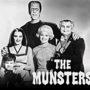 The Munsters -The Ultimate DVD Collection! All the TV shows and Movies in one Package Free US Shipping!