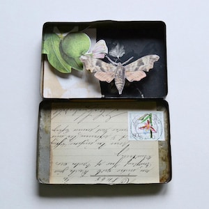 Puede incluir: Una caja metálica rectangular abierta, que revela un collage de elementos vintage. En el interior, una ilustración de polilla, una fruta verde y una carta manuscrita con un sello postal. La caja tiene un aspecto envejecido y desgastado.