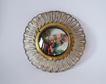 Cabinet de curiosités : Poisson • Assemblage 3D dans un ancien boîtier de baromètre • Diorama fait main • Décoration murale maritime