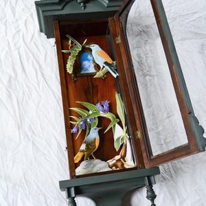 Op de afbeelding: Een houten kastklok met een donkergroene buitenkant en een glazen deur. Binnenin zijn geschilderde vogels en bloemmotieven. De klok heeft een donkerhouten interieur en een decoratieve basis.