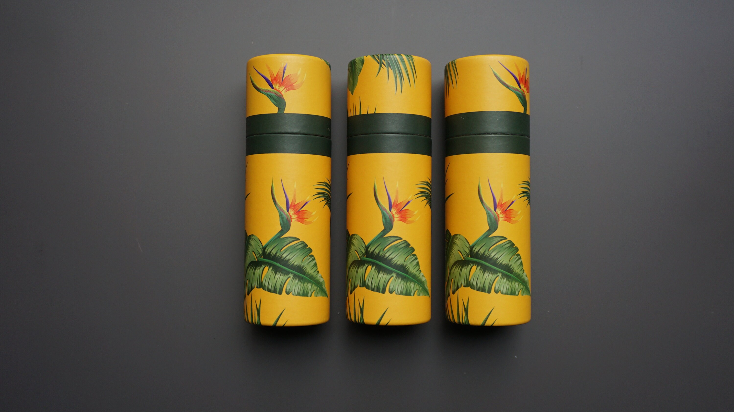 Set of 3 Round Cardboard Boxes for Apothecary Bottles, Pipette Bottles