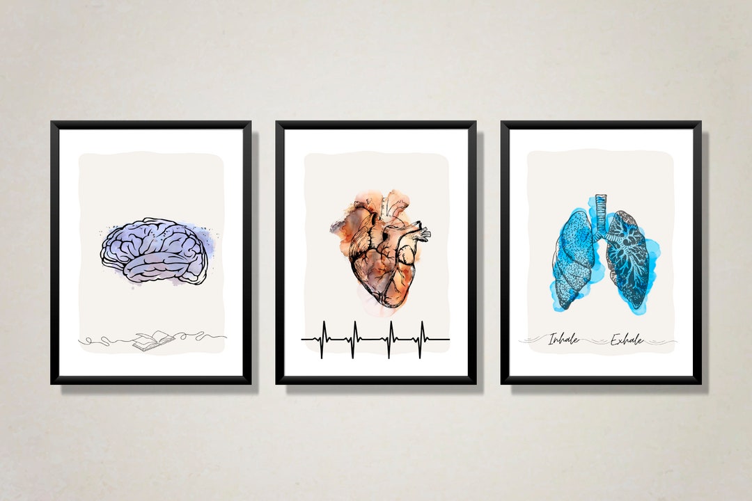 Printable Anatomical Art