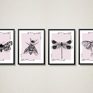 Set of 4 entomological inspired wall art prints - Digital Download