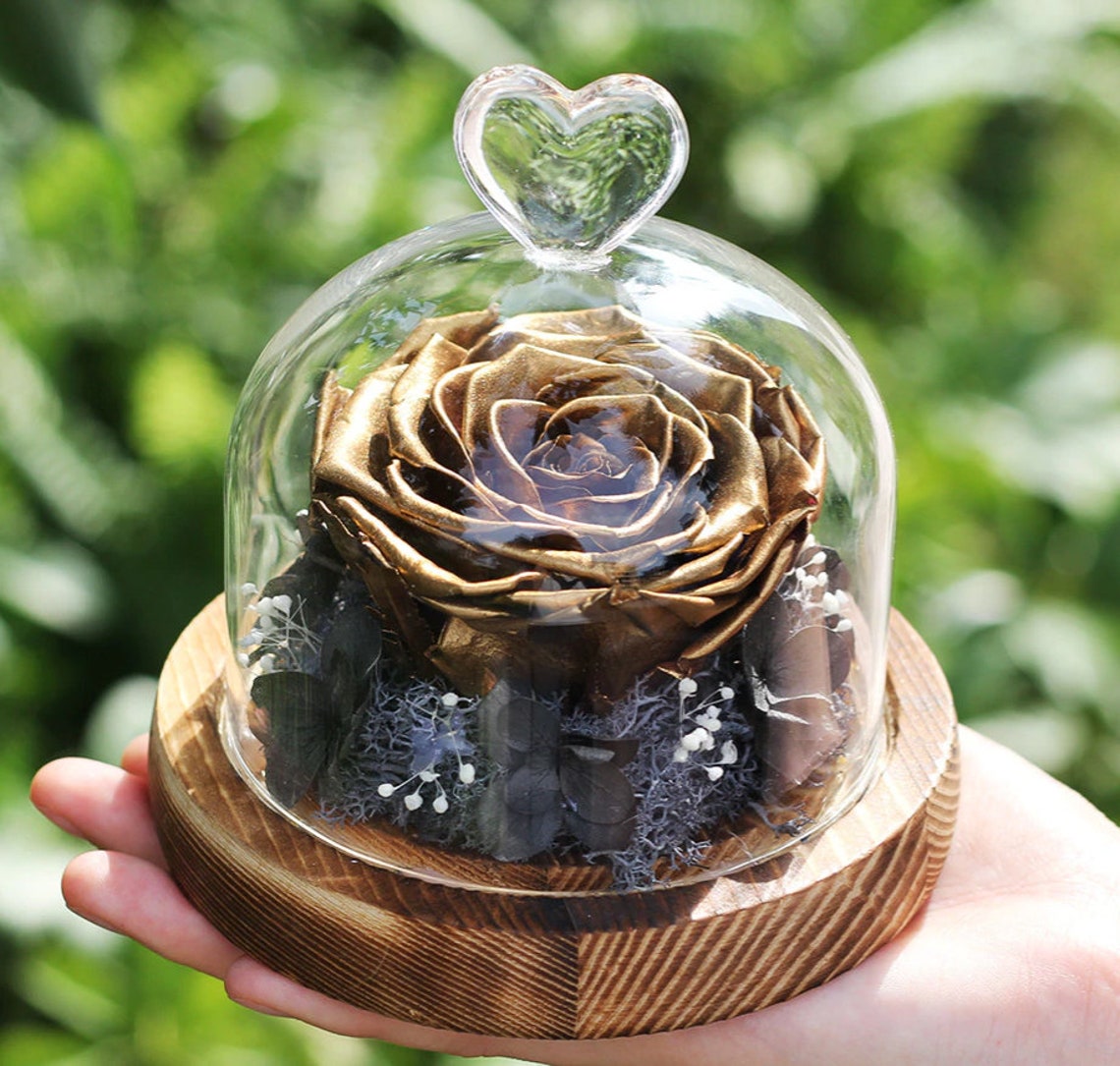 Pink eternal rose in a classic acyrlic box. Gold forever Etsy