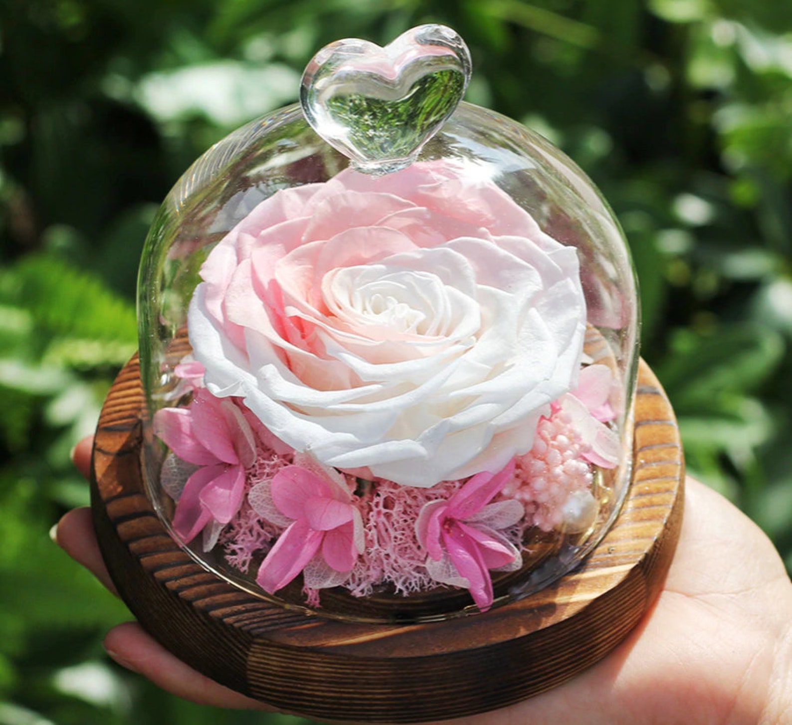 Pink eternal rose in a classic acyrlic box. Gold forever Etsy