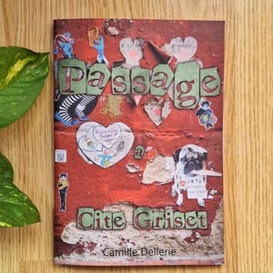 以下が含まれることがあります： カミーユ・デレリー著『Passage a Cite Griset』のブックカバー。赤いレンガの壁、ハート型の切り抜き、パグ犬、様々なイラストがコラージュされています。タイトルは緑色のブロック体で書かれています。