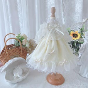 Bjd Princess Dress Fashion Doll Clothes BJD Dress for 1/3 1/4 1/6 Bjd Doll Dress Blyth Yosd/Blyth/Msd/Smart Doll Doll Clothing Bjd Outfit