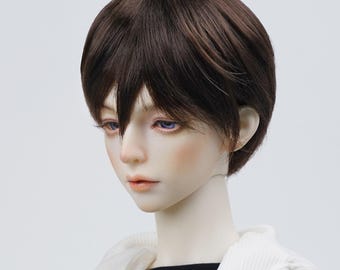 May include: A brown wig with a short, layered style. The wig is styled with a side part and has a natural, slightly textured finish.