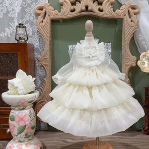1/3 1/4 1/6 Doll Princess Clothes Bjd Doll Dress BJD Clothes Outfit for Ob24/Yosd/Msd/Mdd/Minifee/SD/DD/Iplehouse/Smart Doll Clothing