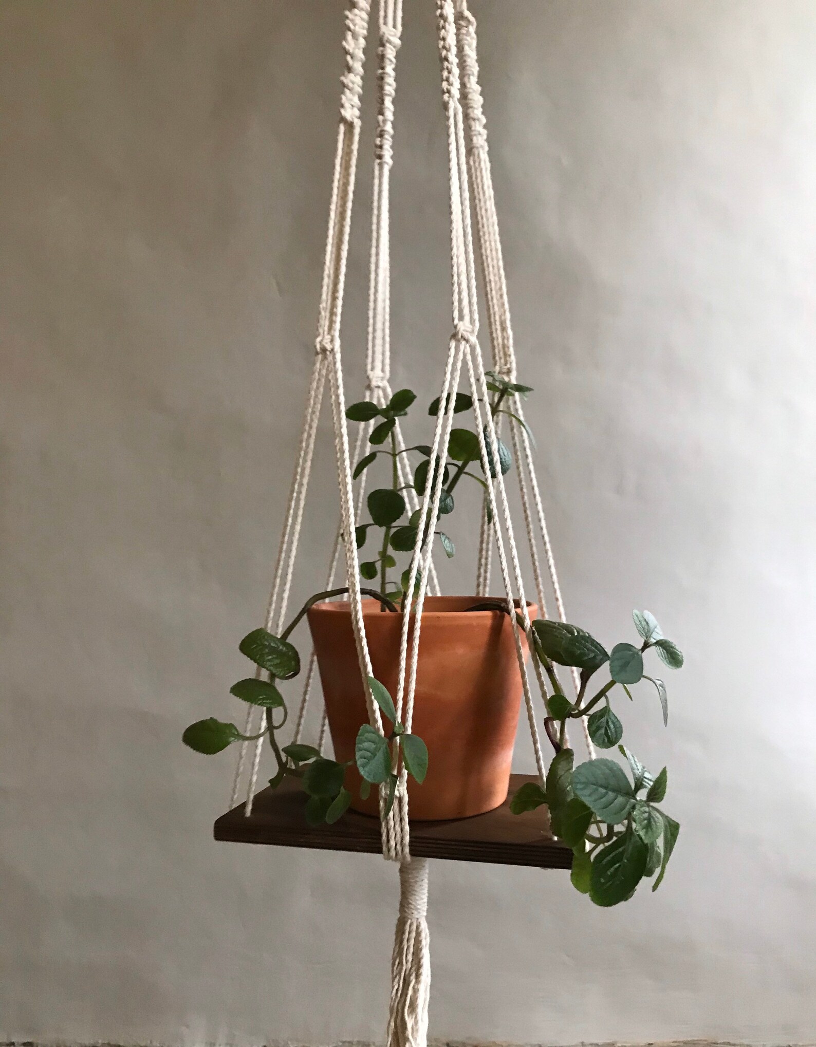 Plywood Flower Tray Macrame Plant Hanger Planter Shelf Etsy