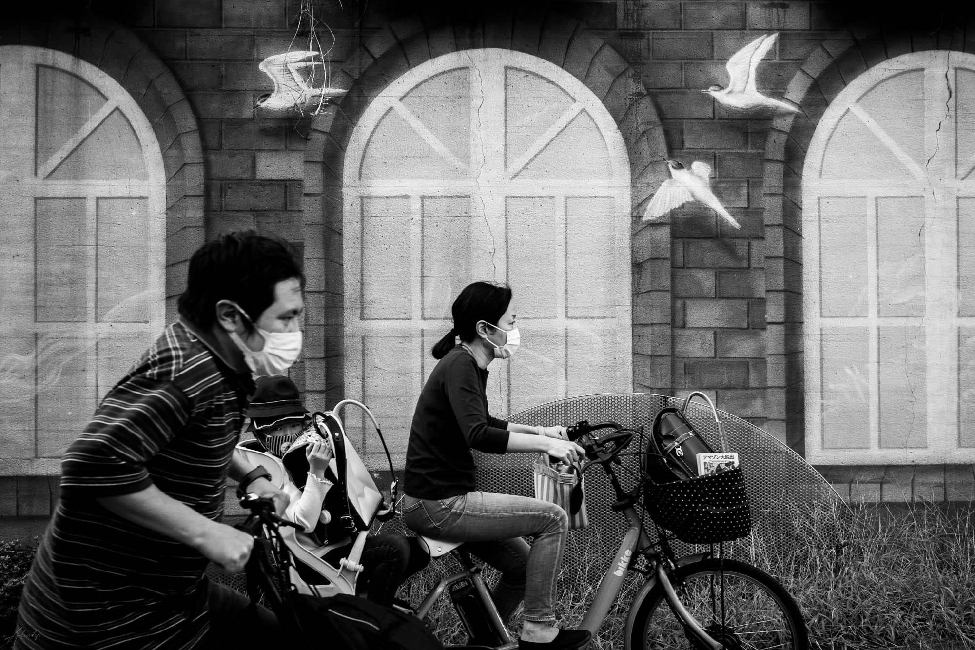 Carte Postale L'envol