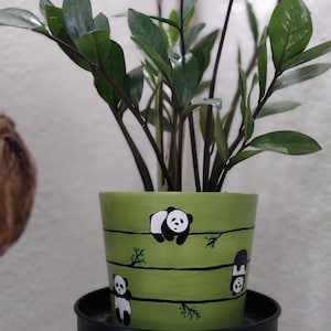 May include: A green ceramic planter with a black rim, featuring a panda bear design. The planter is filled with a green plant with dark green leaves.