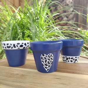 Navy Blue Safari Set - hand painted terracotta pots (Customizable)