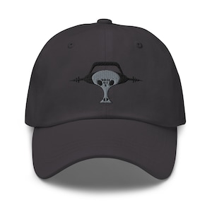 May include: A dark gray baseball cap with an embroidered skull and crossbones design.