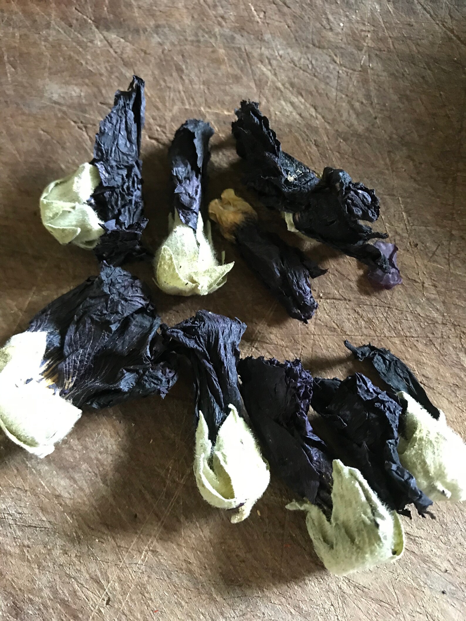 Organic Black Mallow Flowers Edible Flowers Herbal Tea Etsy Australia
