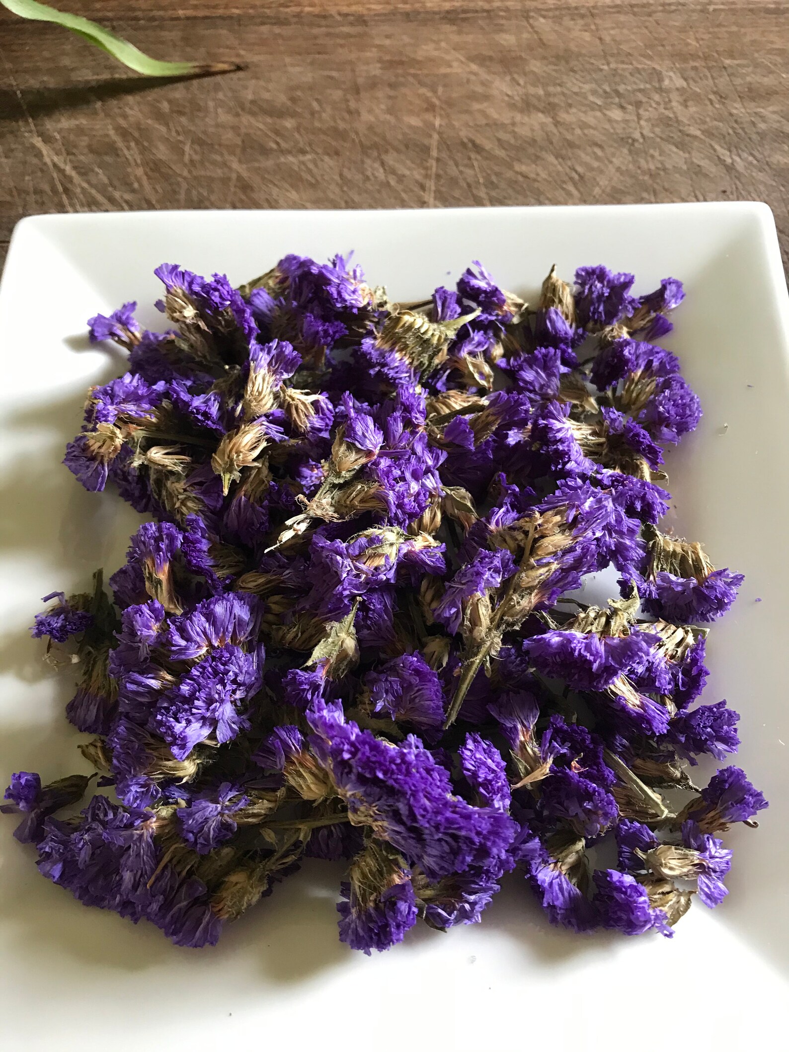 Organic Me Nots Edible Flowers Edible Petals Dried Etsy