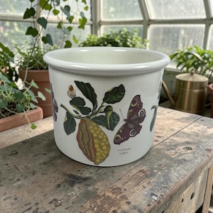 May include: A white ceramic planter featuring a botanical illustration of a yellow citrus fruit with green leaves and two butterflies. The text "CITRUS" and "Citron" is printed in small black letters near the base of the plant illustration.