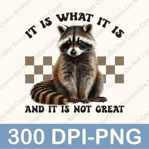 It Is What It Is And It Is Not Great PNG, Funny Raccoon PNG, Raccoon Meme Png, Racoon Png, Sarcastic Saying Png, Trending Png