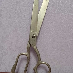 May include: A pair of silver metal scissors with a single rivet in the center of the handles. The handles are oval shaped and the blades are sharp.