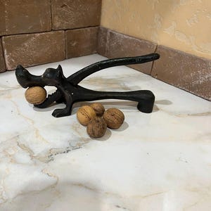 Può includere: Un schiaccianoci in metallo nero a forma di cane con la bocca aperta, che tiene una noce. Ci sono quattro noci aggiuntive sul bancone.