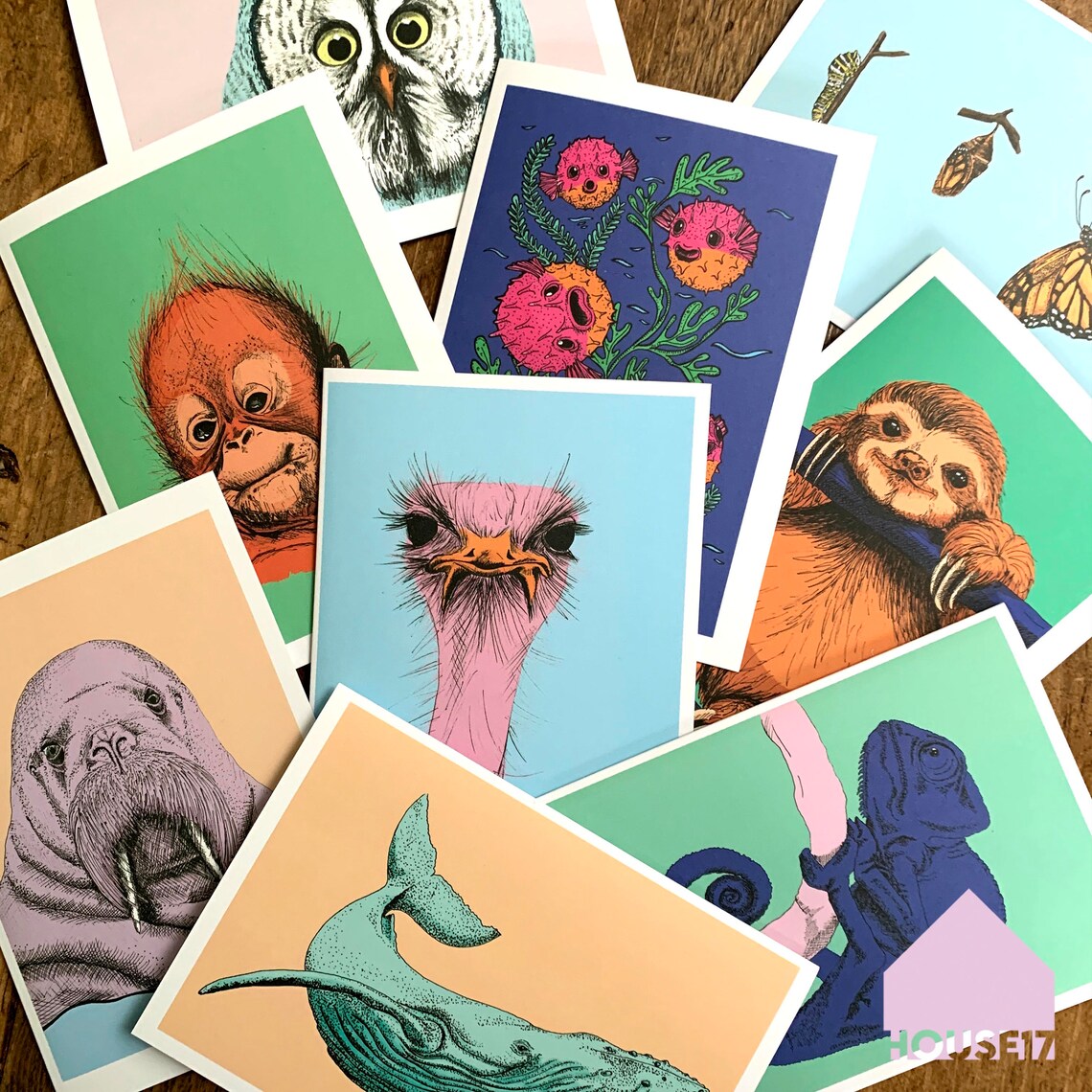 Faultier Karte / Bunte Grußkarte / MiniDruck / Tier Kunstdruck - Etsy.de