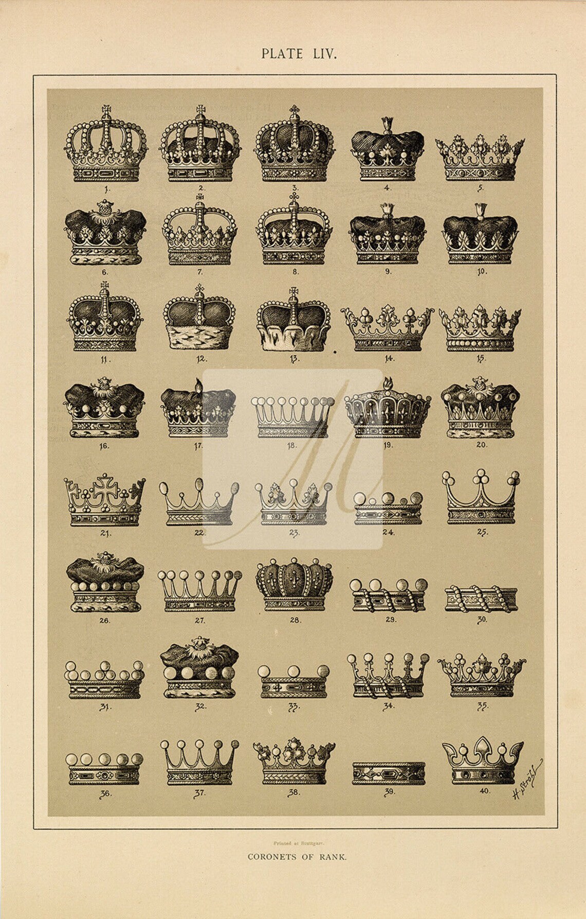 of Rank 1904 Vintage Heraldry Print F509 Etsy