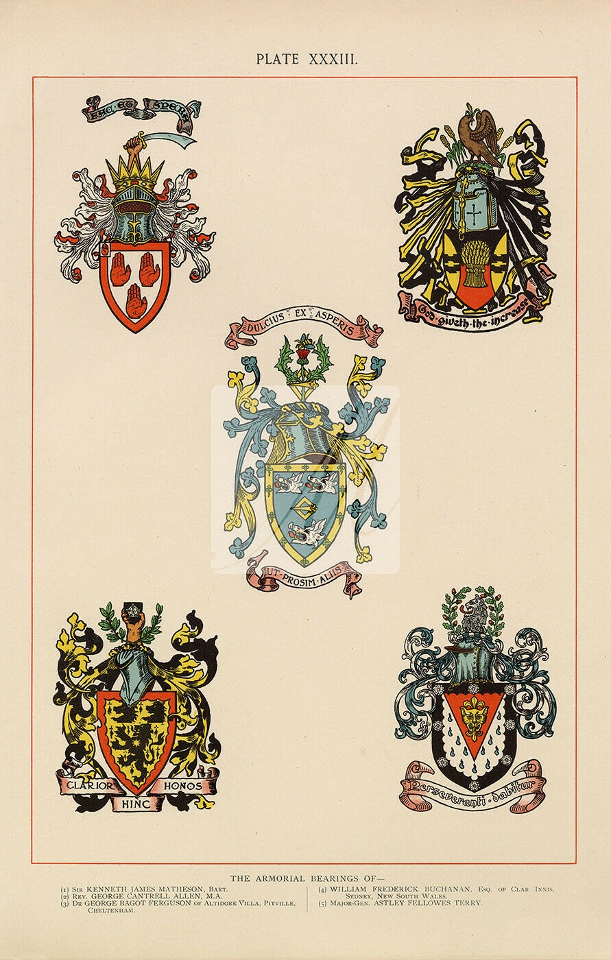Armorial Bearings 1904 Vintage Coloured Heraldry Print F528 Etsy