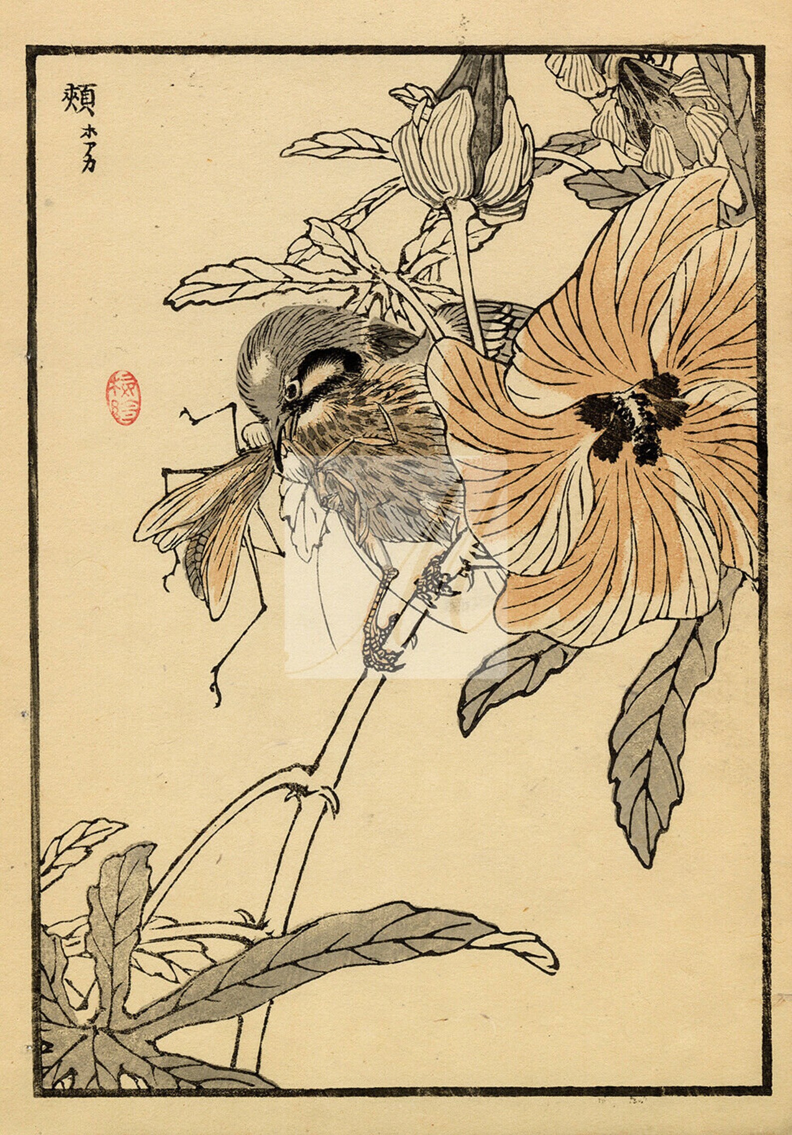 ANTIQUE Original Kono Bairei Woodblock Asian Art Print 1881 Etsy