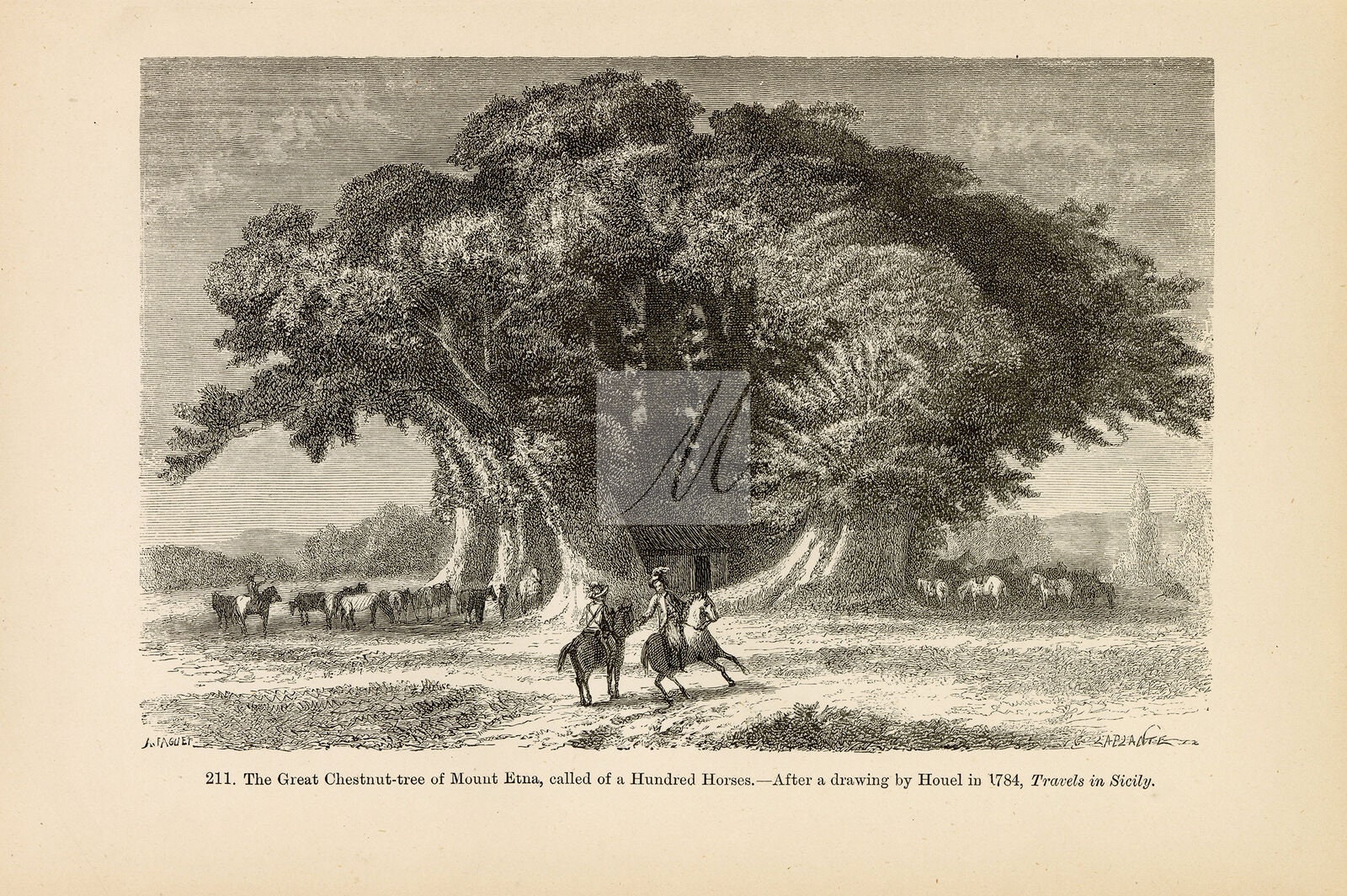 ANTIQUE Art Grand Châtaignier de lEtna Cent Chevaux 1877 Etsy