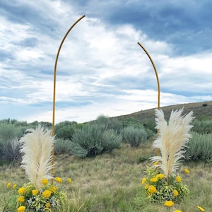 Boho Metal Wedding Arch | Half-Moon Ceremony Backdrop, Rustic Outdoor Decor