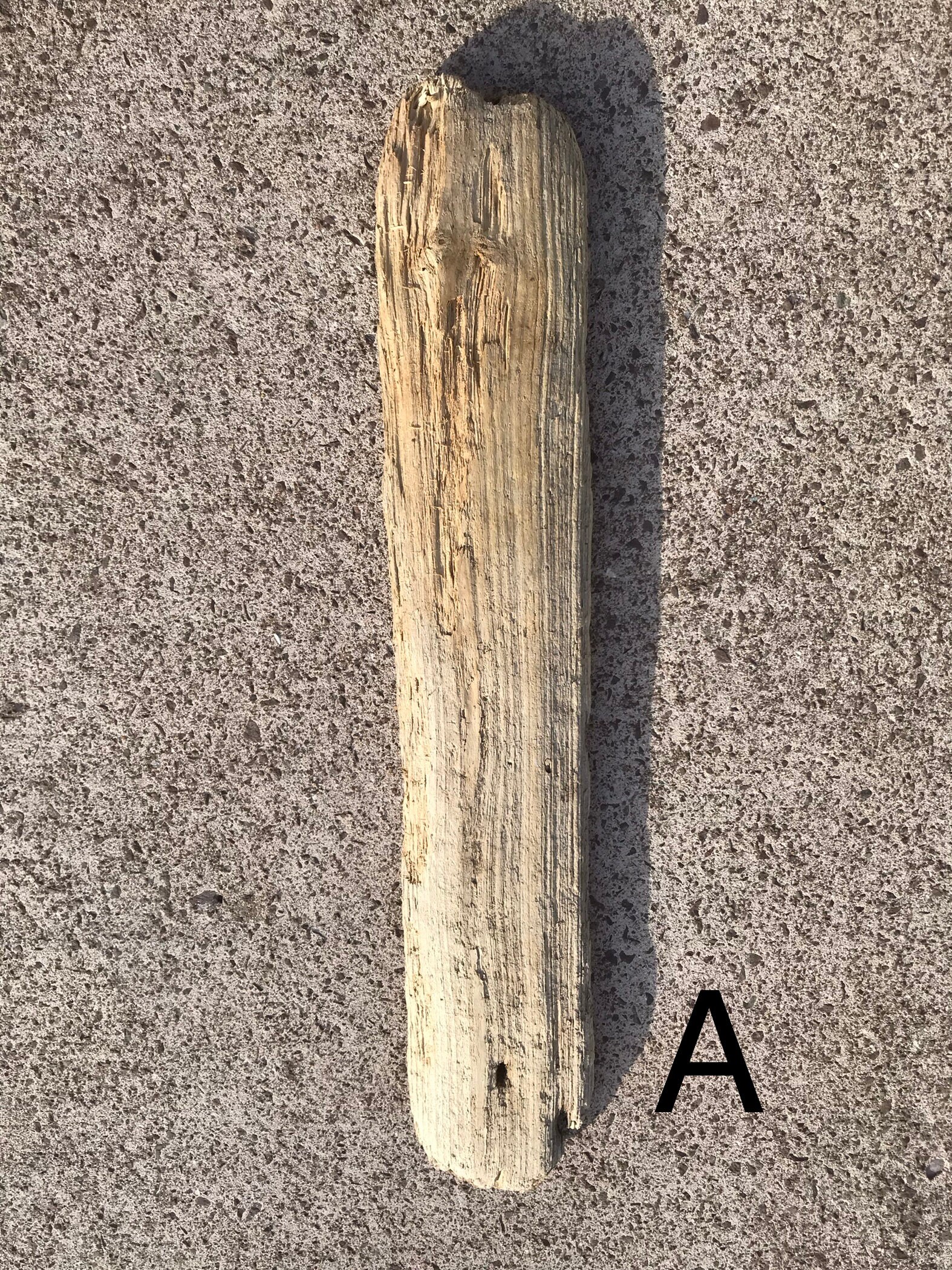 fresh water drift wood for sale fresh water drift wood for sale