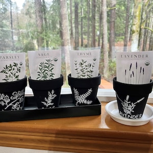 May include: Four small black pots with white painted designs on a black tray. Each pot has a white label with the name of an herb: Parsley, Sage, Thyme, and Lavender.