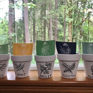 May include: Five white terracotta pots with black handwritten labels and drawings of herbs. The labels read "Chives", "Mint", "Parsley", "Rosemary", and "Globe Basil".