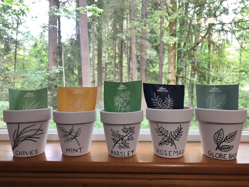 May include: Five white terracotta pots with black handwritten labels and drawings of herbs. The labels read "Chives", "Mint", "Parsley", "Rosemary", and "Globe Basil".