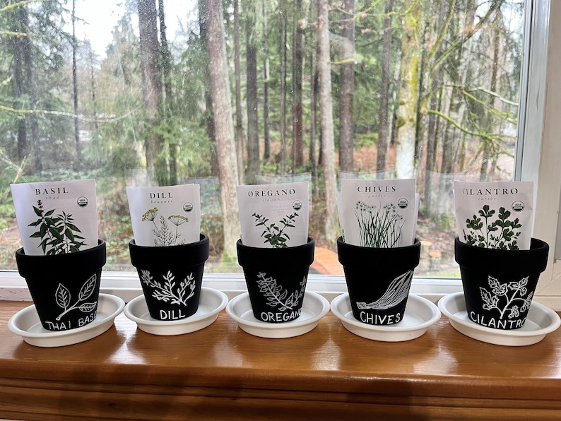 May include: Five black terracotta pots with white painted details, each containing a different herb plant. The pots are labeled with the names of the herbs: Thai Basil, Dill, Oregano, Chives, and Cilantro.