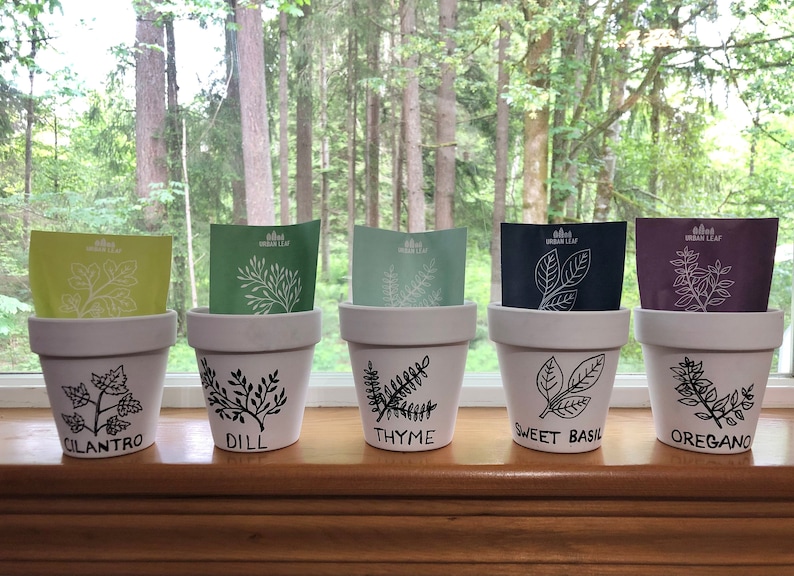 May include: Five white terracotta pots with black hand-painted illustrations of herbs. The pots are labeled "Cilantro", "Dill", "Thyme", "Sweet Basil", and "Oregano".