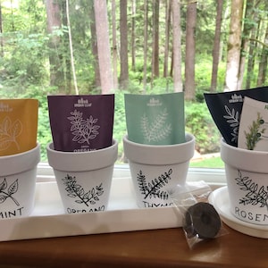 Herb Planters with Tray, Including Herb Seed Pack and Peat Pellet, Modern Farmhouse Herb Planter Gift Set