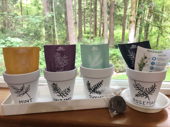 Herb Planters with Tray, Including Herb Seed Pack and Peat Pellet, Modern Farmhouse Herb Planter Gift Set