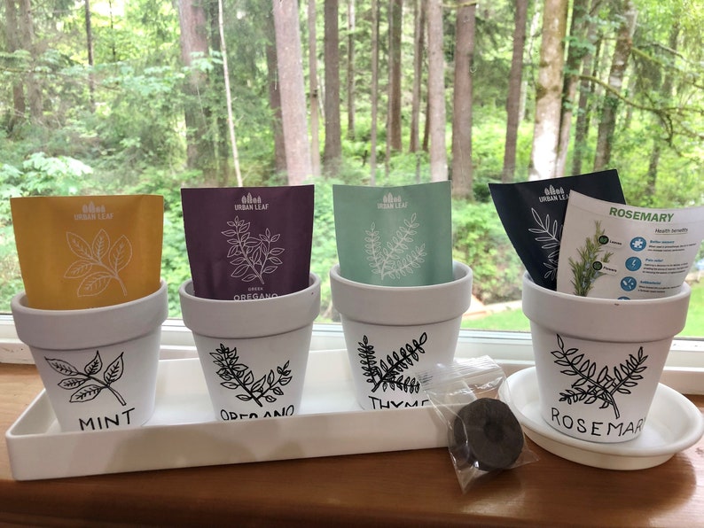 May include: Four white ceramic pots with seed packets for mint, oregano, thyme, and rosemary. The pots are labeled with the names of the herbs and have a black and white illustration of the herb on the front. The pots are sitting on a white tray.