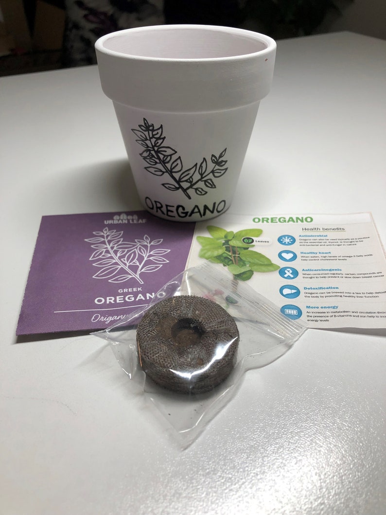 May include: A white ceramic pot with a black drawing of oregano leaves and the word "OREGANO" on the side. A purple packet with the words "URBAN LEAF GREEK OREGANO" and a small brown seed disc are also in the image. A white card with the word "OREGANO" and a list of health benefits is in the background.
