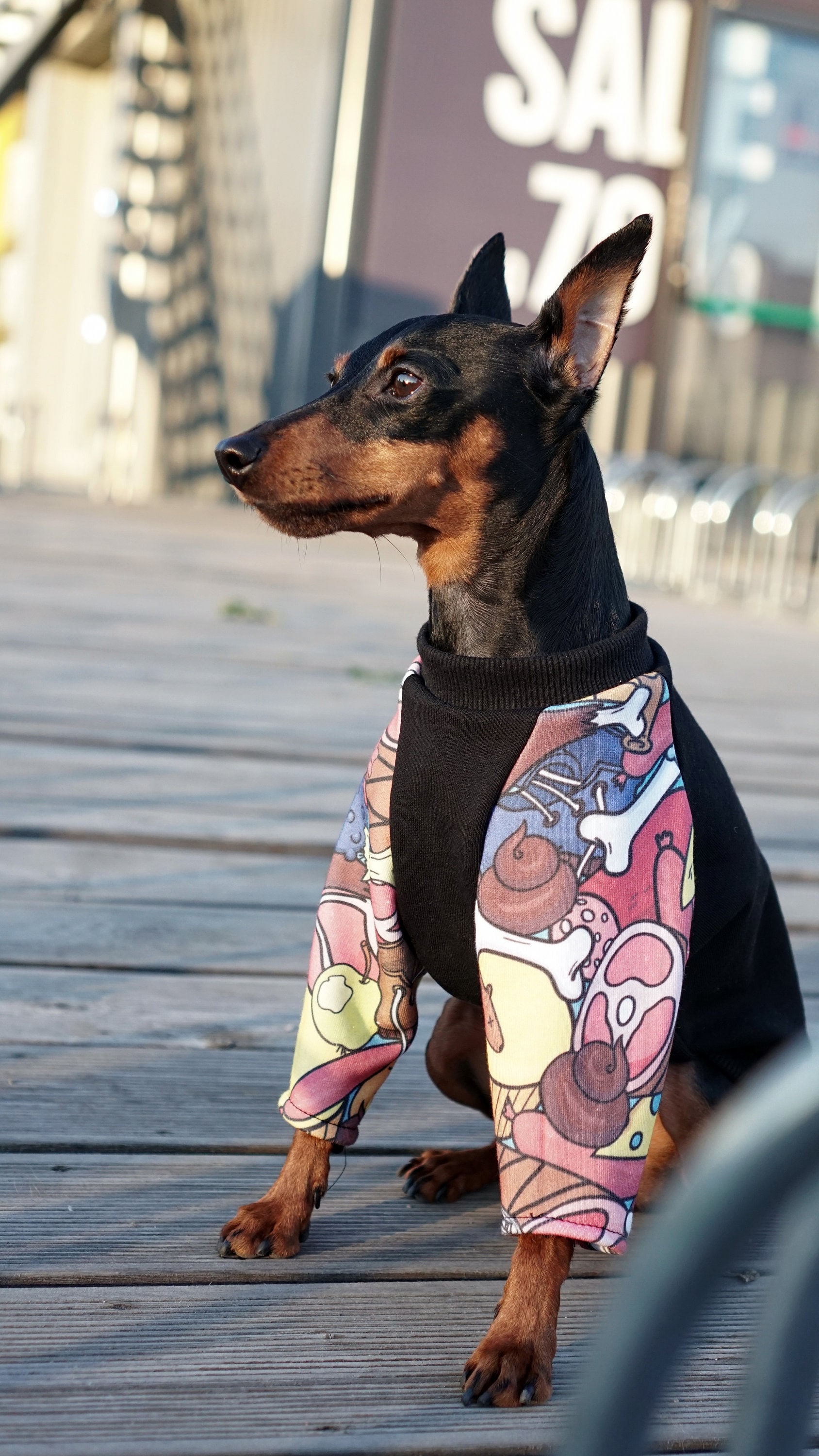 Fashion Dog Sweatshirt BlackDog hoodieFashion Etsy