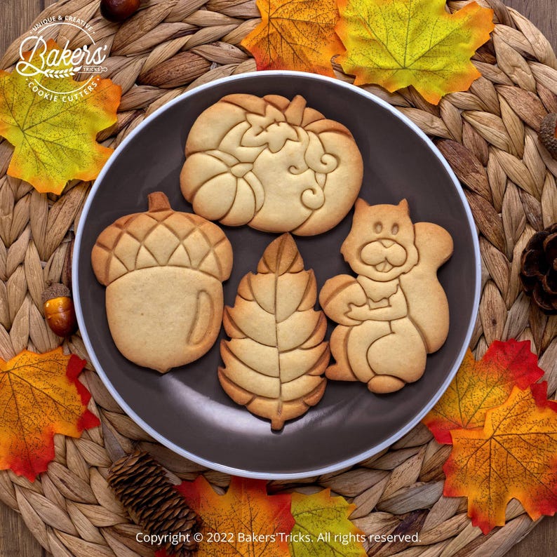 Four autumn-themed cookies shaped like a pumpkin, acorn, leaf, and squirrel are arranged on a dark plate surrounded by fall leaves.