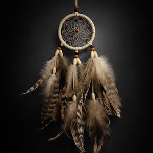 May include: A beige dreamcatcher with a woven web design and brown feathers. The dreamcatcher has a circular frame with a central red accent and wooden beads. The feathers are various shades of brown and beige.