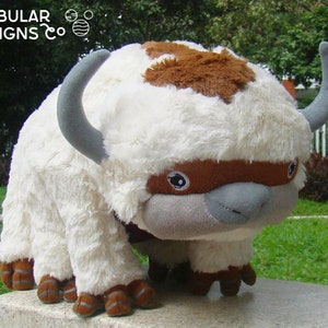 appa teddy