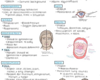 Health Assessment Etsy